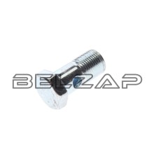 Болт BANJO(BSP) (3/8"-19) ZHHMC