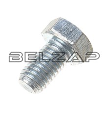 Болт М8х1.25х14 КАМАЗ,ВАЗ крепления массы (кл.проч. 8.8) ТТМ, 16043121, ТМ